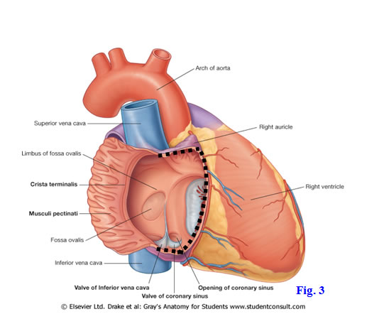 Fig 8-3